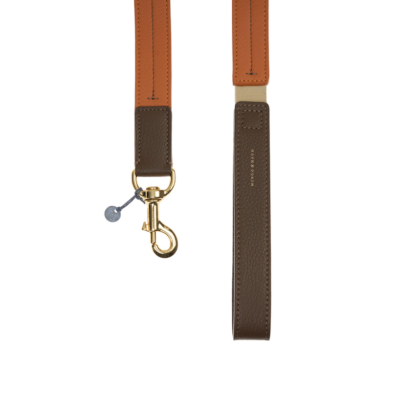 Bauhaus Dog Lead