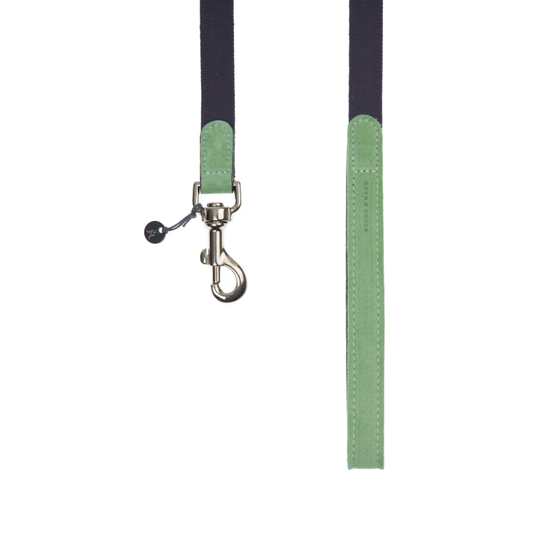 Baseball Dog Lead