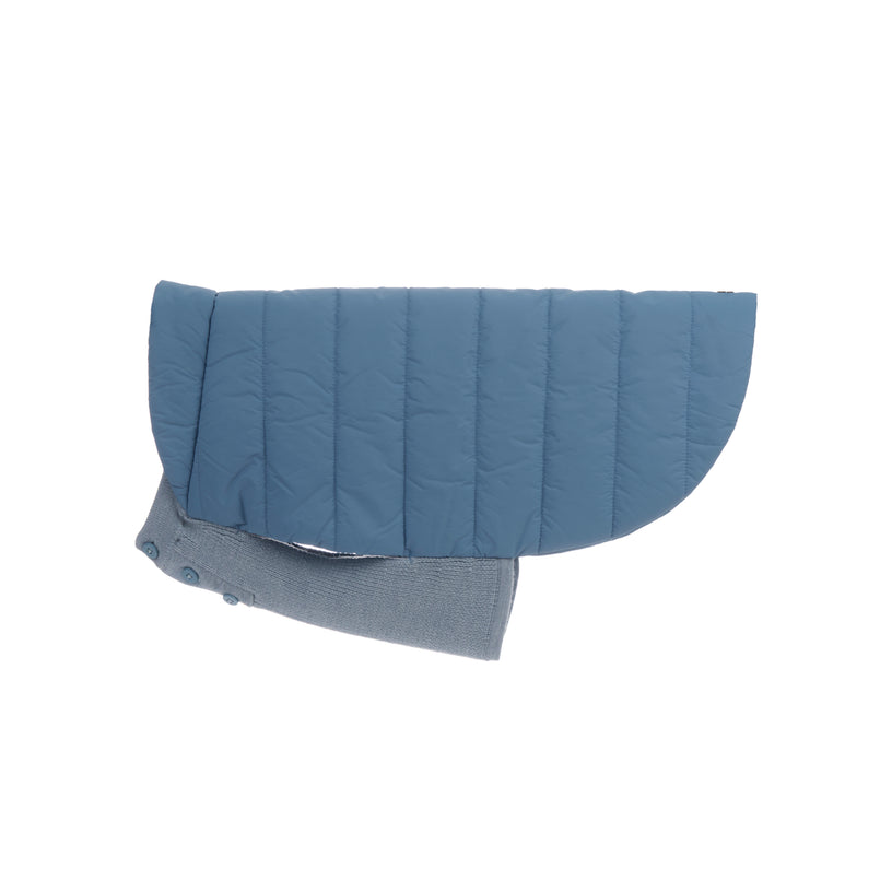 Beetle Dog Coat