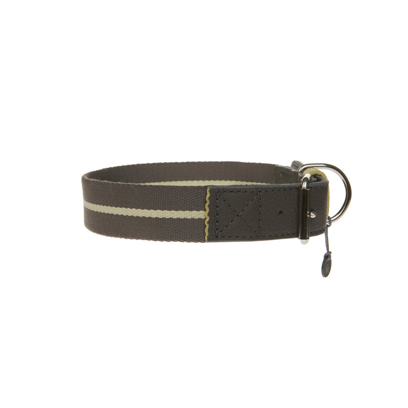 Pencil Dog Collar