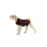 Mungo & Maud Luxury Dog & Cat Outfitters Bauhaus Leather Dog Collar Brown Pink Beetle Dog Coat Brown