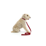 Mungo & Maud Luxury Dog & Cat Outfitters Torino Leather Dog Collar & Lead Red Taupe