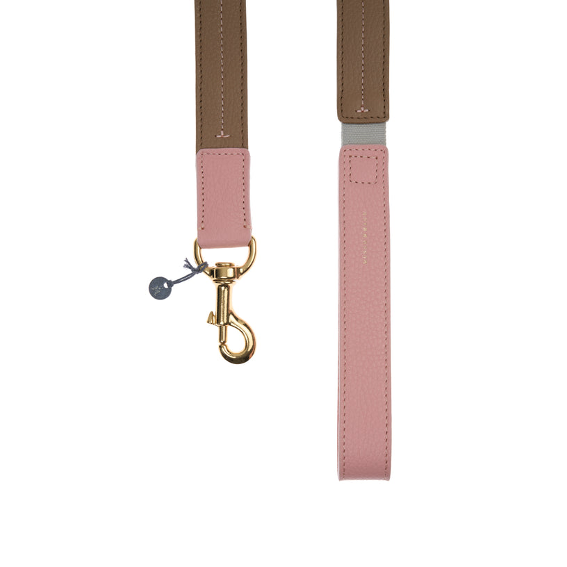 Bauhaus Dog Lead