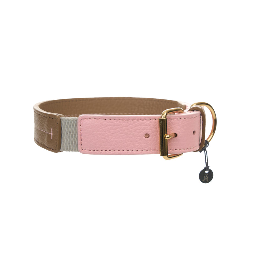 Bauhaus Dog Collar