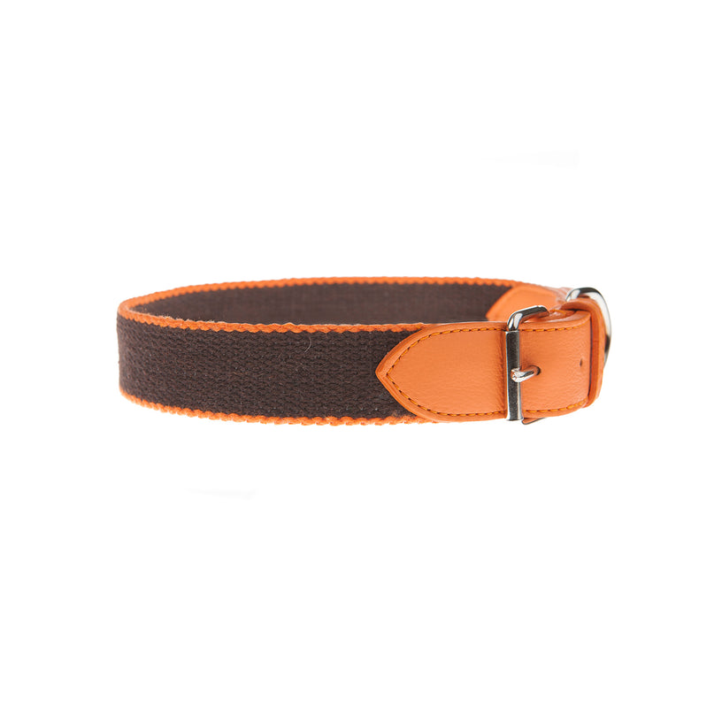 طوق الكلب preppy