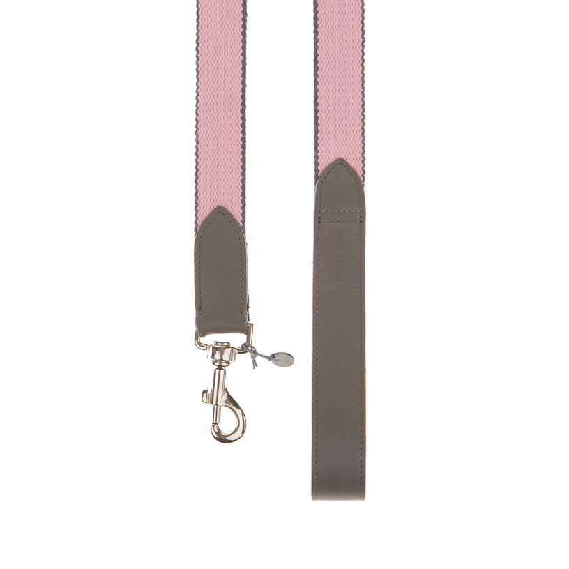 كرود الكلب preppy
