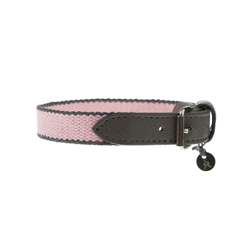 طوق الكلب preppy
