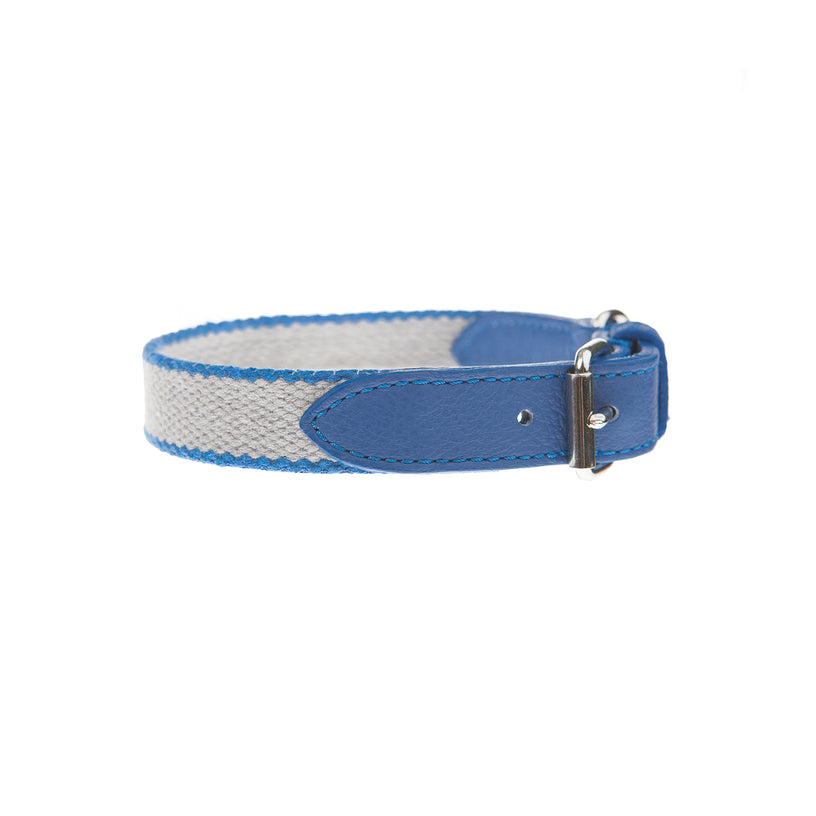 طوق الكلب preppy