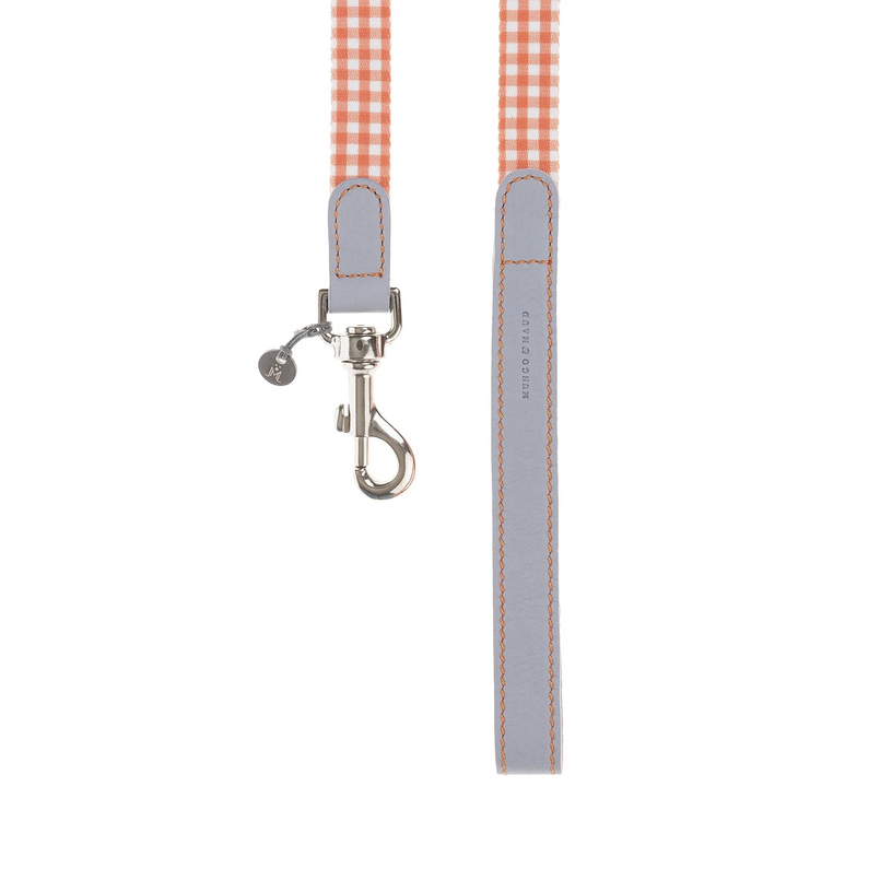 Clara Check Dog Lead